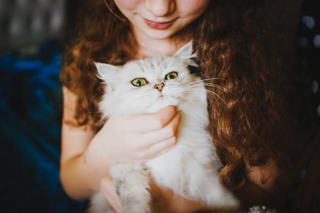 child with white cat