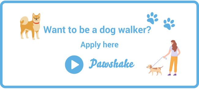 Become a dog walker