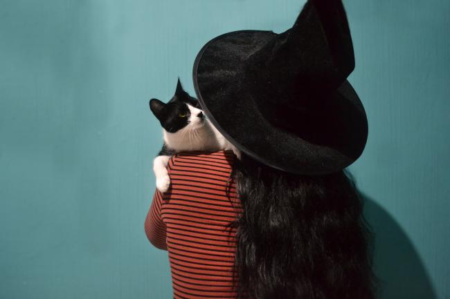 Cat with owner dressed as a witch