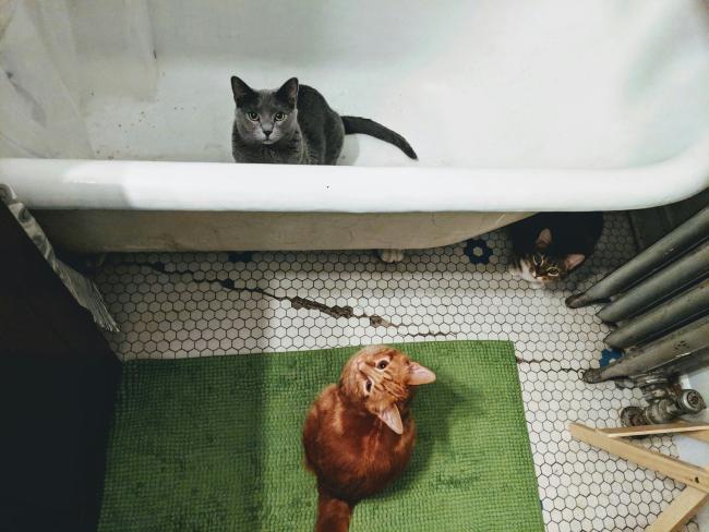 It's their home - you're just visiting
